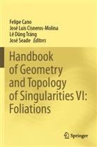 Felipe Cano, José Luis Cisneros-Molina, Lê D_ng Tráng, Lê D¿ng Tráng, José Seade - Handbook of Geometry and Topology of Singularities VI: Foliations