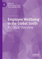 Toyin Ajibade Adisa, Emeka Smart Oruh - Employee Wellbeing in the Global South