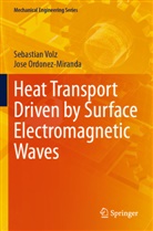 Jose Ordonez-Miranda, Sebastian Volz - Heat Transport Driven by Surface Electromagnetic Waves