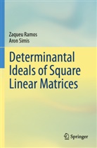 Zaqueu Ramos, Aron Simis - Determinantal Ideals of Square Linear Matrices