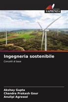 Anulipi Agrawal, Chandra Prakash Gour, Akshay Gupta - Ingegneria sostenibile