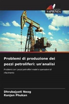 Dhrubajyoti Neog, Ranjan Phukan - Problemi di produzione dei pozzi petroliferi: un'analisi