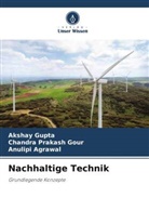 Anuli Agrawal, Anulipi Agrawal, Chandra Prakash Gour, Akshay Gupta - Nachhaltige Technik