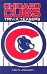 Steve Johnson - Chicago Cubs Trivia Teasers