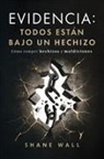 Shane Wall - Evidencia Todos están bajo un hechizo