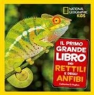 Catherine D. Hughes - Il primo grande libro dei rettili e degli anfibi