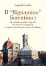 Luigi de Concilio - 60 curiosità, aneddoti e leggende che troverete passeggiando tra piazza San Giovanni e piazza del Duomo
