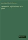 Juan Manuel García Y Reynoso - Abscesos del hígado abiertos en la pleura