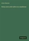 Alvaro Reynoso - Notas acerca del cultivo en camellones
