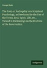 George Bush - The Soul; or, An Inquiry into Scriptural Psychology, as Developed by the Use of the Terms, Soul, Spirit, Life, etc., Viewed in Its Bearings on the Doctrine of the Resurrection