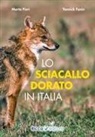 Yannick Fanin, Marta Pieri - Lo sciacallo dorato in Italia