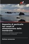 Stefano Iannacone - Deposito di particelle nei canali di alimentazione delle membrane