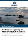 Stefano Iannacone - Partikelablagerung in Membranzufuhrkanälen