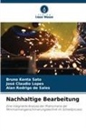 Al de Sales, Alan Rodrigo de Sales, José Claudio Lopes, Bruno Kenta Sato - Nachhaltige Bearbeitung