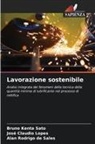 Alan Rodrigo de Sales, José Claudio Lopes, Bruno Kenta Sato - Lavorazione sostenibile