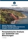 Douglas Correia Moscateli, Nelson Henrique Joly, Pet Rodrigo Mello Montezuma, Petrônio Rodrigo Mello Montezuma - Parametrische Analyse zur Stabilität von Böschungen