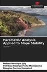 Douglas Correia Moscateli, Nelson Henrique Joly, Petrônio Rodrigo Mello Montezuma - Parametric Analysis Applied to Slope Stability