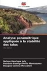 Douglas Correia Moscateli, Nelson Henrique Joly, Petrônio Rodrigo Mello Montezuma - Analyse paramétrique appliquée à la stabilité des talus