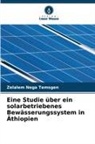 Zelalem Nega Temsgen - Eine Studie über ein solarbetriebenes Bewässerungssystem in Äthiopien