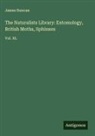 James Duncan - The Naturalists Library: Entomology, British Moths, Sphinxes