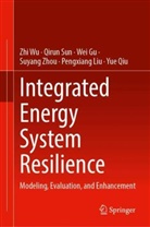 Wei Gu, Wei et al Gu, Pengxiang Liu, Yue Qiu, Qirun Sun, Zhi Wu... - Integrated Energy System Resilience