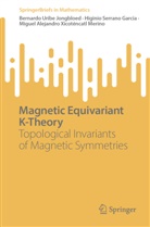 Higinio Serrano Garcia, Bernardo Uribe Jongbloed, Miguel Alejandro Xicoténcatl Merino - Magnetic Equivariant K-Theory