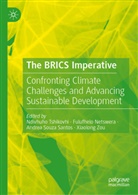 Fulufhelo Netswera, Andrea Souza Santos, Andrea Souza Santos et al, Ndivhuho Tshikovhi, Xiaolong Zou - The BRICS Imperative
