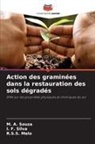 R. S. S. Melo, R.S.S. Melo, I. F. Silva, M. A. Souza - Action des graminées dans la restauration des sols dégradés