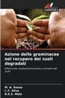 R. S. S. Melo, R.S.S. Melo, I. F. Silva, M. A. Souza - Azione delle graminacee nel recupero dei suoli degradati