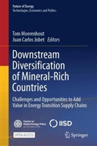 Carlos Jobet, Juan Carlos Jobet, Tom Moerenhout - Downstream Diversification of Mineral-Rich Countries
