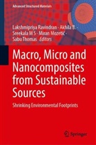 Akhila B, Akhila B., Sreekala M S, Sreekala M S et al, Miran Mozetic, Miran Mozetič... - Macro, Micro and Nanocomposites from Sustainable Sources