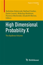 Radoslaw Adamczak, Radosław Adamczak, Nathael Gozlan, Karim Lounici, Karim Lounici et al, Mokshay Madiman... - High Dimensional Probability X