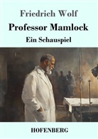 Friedrich Wolf, Karl-Maria Guth - Professor Mamlock
