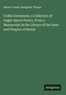 Hiram Corson, Benjamin Thorpe - Codex Exoniensis. a Collection of Anglo-Saxon Poetry, From a Manuscript In the Library of the Dean and Chapter of Exeter