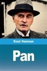 Knut Hamsun - Pam