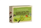 Gregory Baldwin - Minibeasts