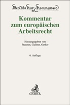 Martin Franzen, Inken Gallner, Hartmut Oetker, Hartmut Oetker u a - Kommentar zum europäischen Arbeitsrecht