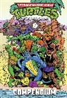 Dean Clarrain, Ken Mitchroney - Teenage Mutant Ninja Turtles Adventures Compendium, Vol. 2