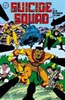 Steve Erwin, Tom Grindberg, Luke McDonnell, John Ostrander - Suicide Squad by John Ostrander Omnibus Vol. 2