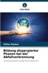 Viktor Gladun - Bildung dispergierter Phasen bei der Abfallverbrennung