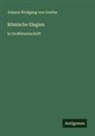 Johann Wolfgang von Goethe - Römische Elegien