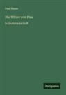 Paul Heyse - Die Witwe von Pisa