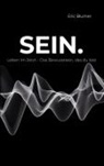 Eric Blumer - SEIN