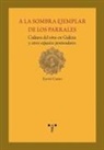 Xavier Castro - A la sombra ejemplar de los parrales : cultura del vino en Galicia y otros espacios peninsulares