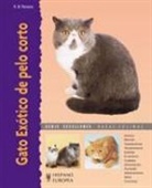 Roy B. Parsons - Gato exótico de pelo corto