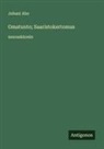 Juhani Aho - Omatunto; Saaristokertomus