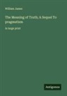 William James - The Meaning of Truth; A Sequel To pragmatism
