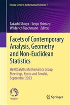 Senjo Shimizu, Takashi Shioya, Wilderich Tuschmann - Facets of Contemporary Analysis, Geometry and Non-Euclidean Statistics