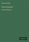 Alphonse Daudet - Numa Roumestan