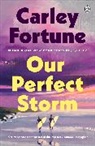 Carley Fortune - Our Perfect Storm